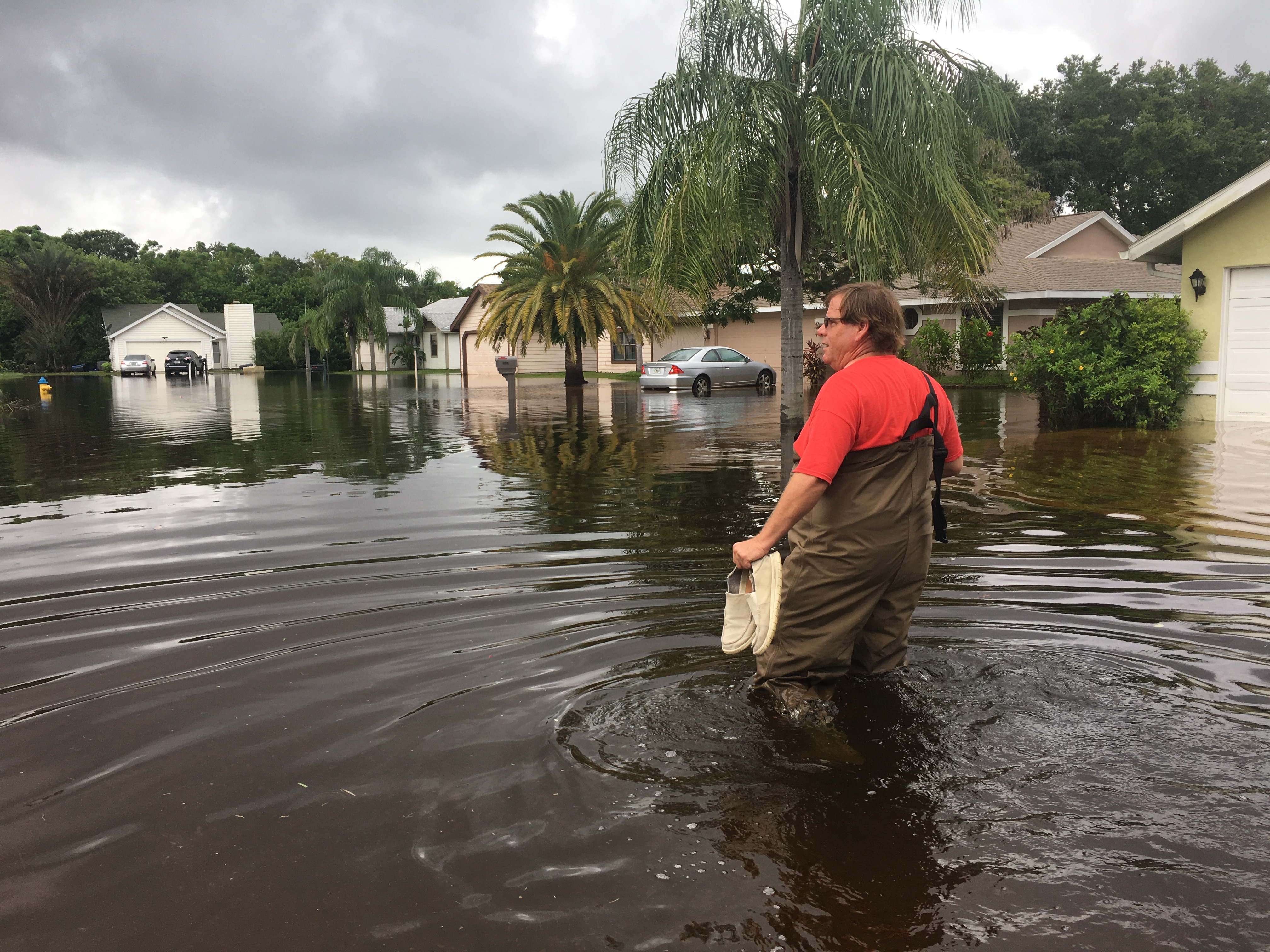 manatee flooding_437615