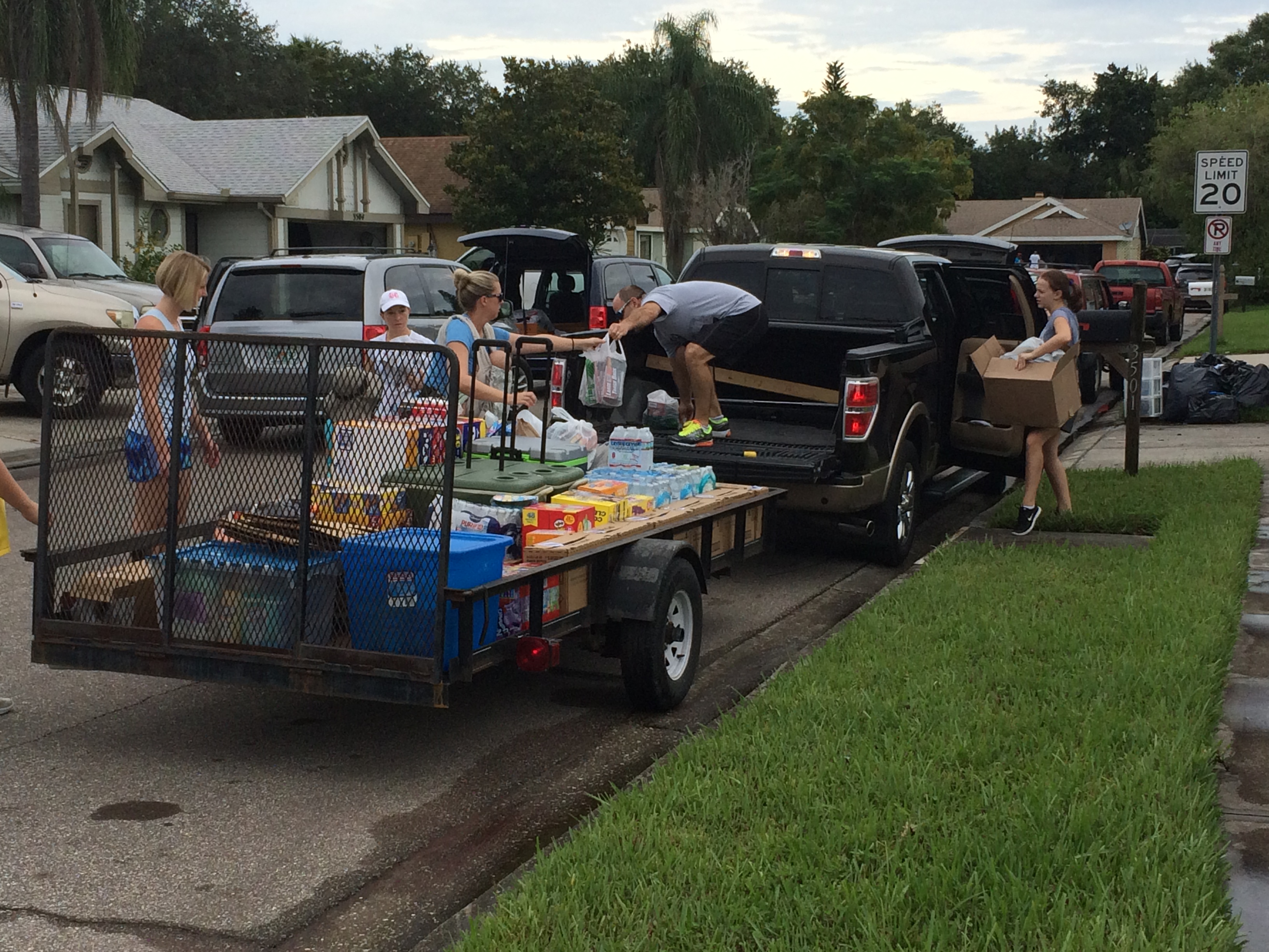 manatee cleanup 2_441636