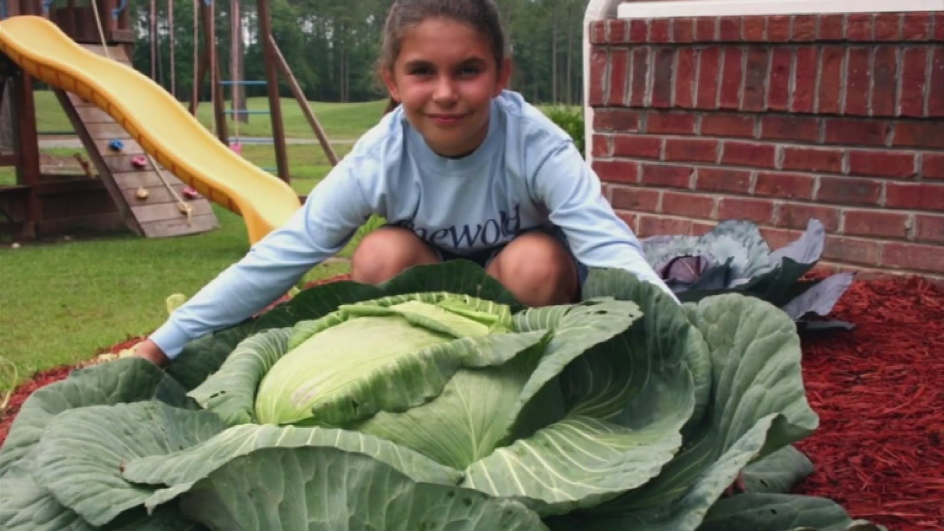 40-pound cabbage inspires 9-year-old to reduce food insecurity in the United States