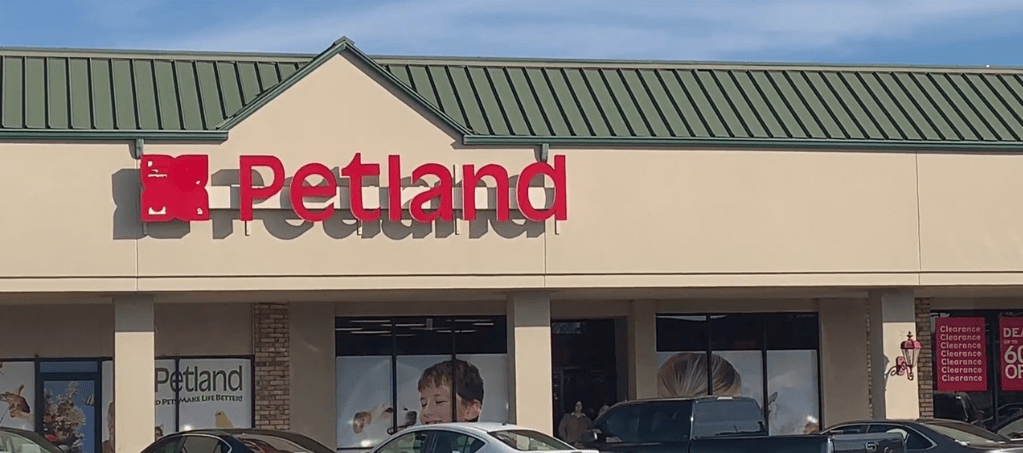 petland_1559079904854.PNG